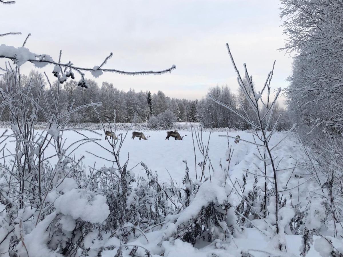 Villa Sandra Rovaniemi Kültér fotó